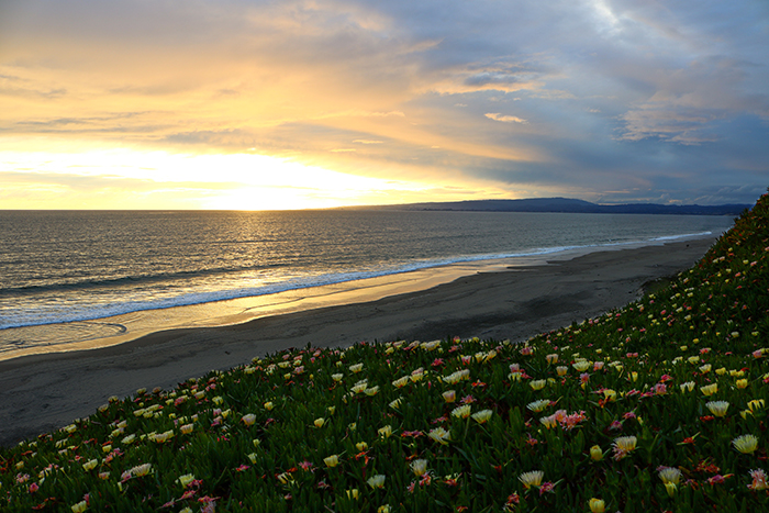 Portrait-style image used on the About page for 45th Ave Design